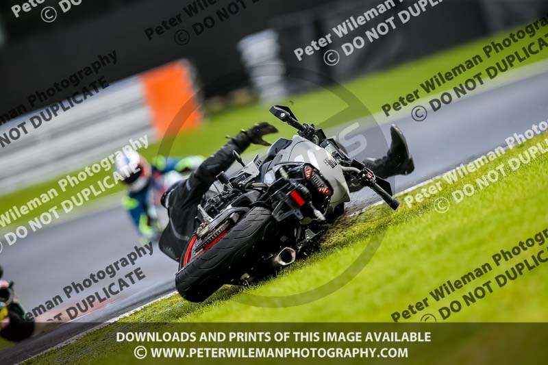 PJ Motorsport 2019;anglesey;brands hatch;cadwell park;croft;donington park;enduro digital images;event digital images;eventdigitalimages;mallory;no limits;oulton park;peter wileman photography;racing digital images;silverstone;snetterton;trackday digital images;trackday photos;vmcc banbury run;welsh 2 day enduro